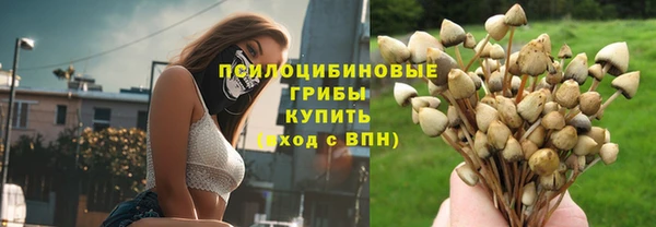 соль ск Абдулино