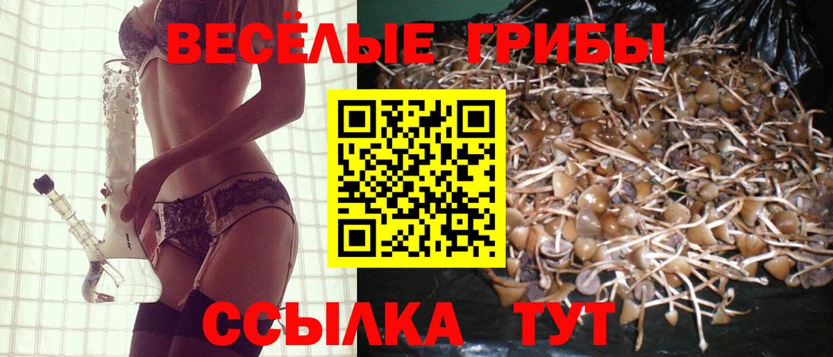купить закладку  Вход с VPN  Карталы  Галлюциногенные грибы Psilocybe  Псилоцибиновые грибы мицелий 