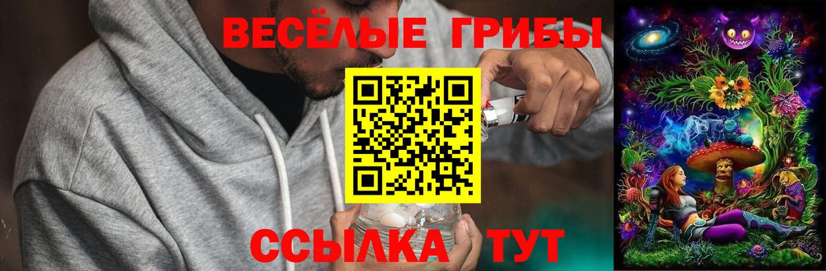 Галлюциногенные грибы мицелий Карталы